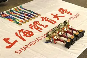 九游体育官网-高水平运动员百度百科